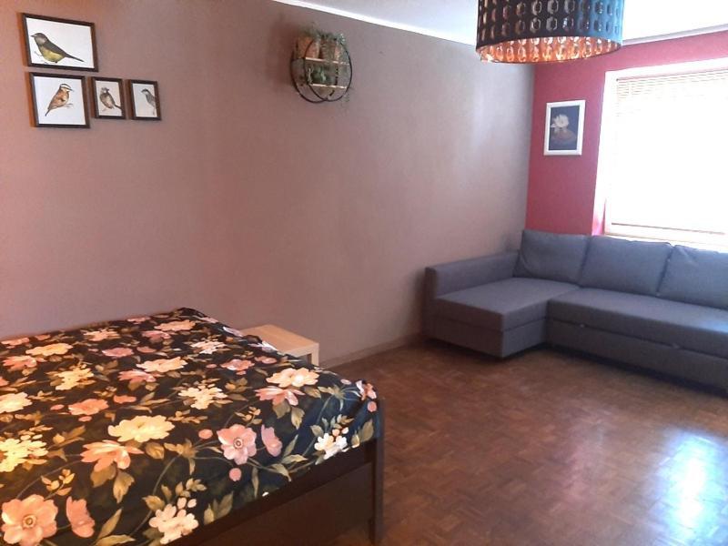 Kawalerka Stefana Zeromskiego 62 Breslau Exterior foto